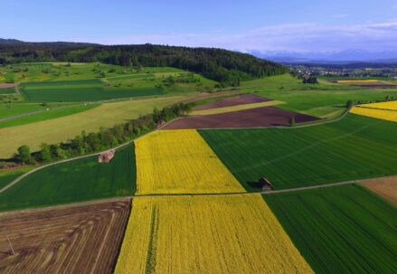 Green and yellow lands